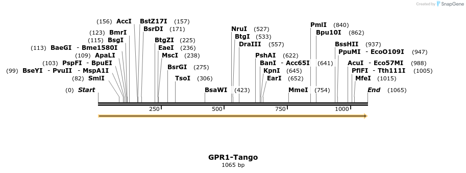 113214_map