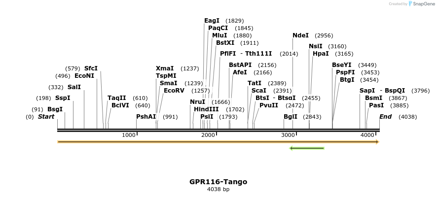 113228_map