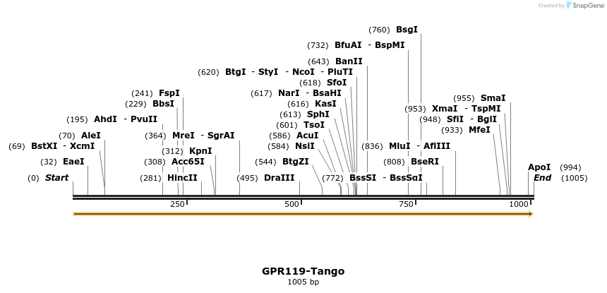 113230_map
