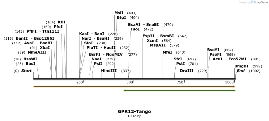 113232_map