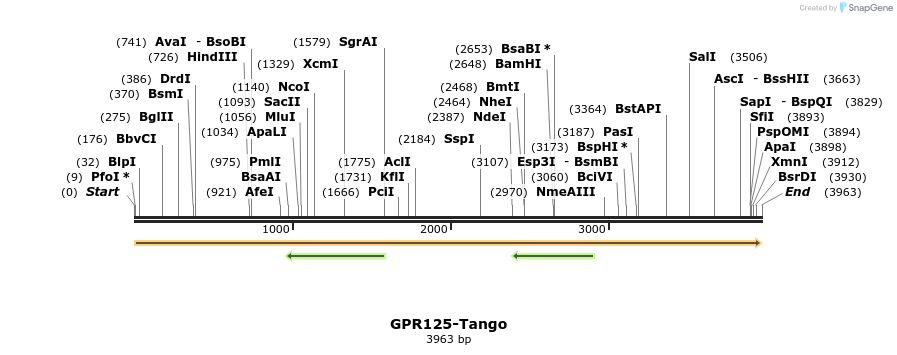 113240_map