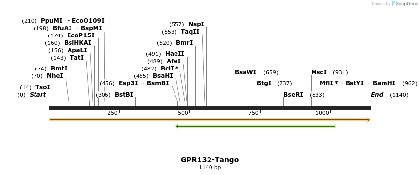 113244_map