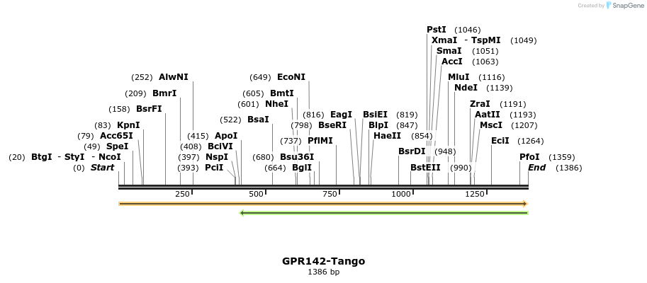 113252_map
