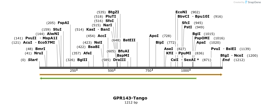 113254_map