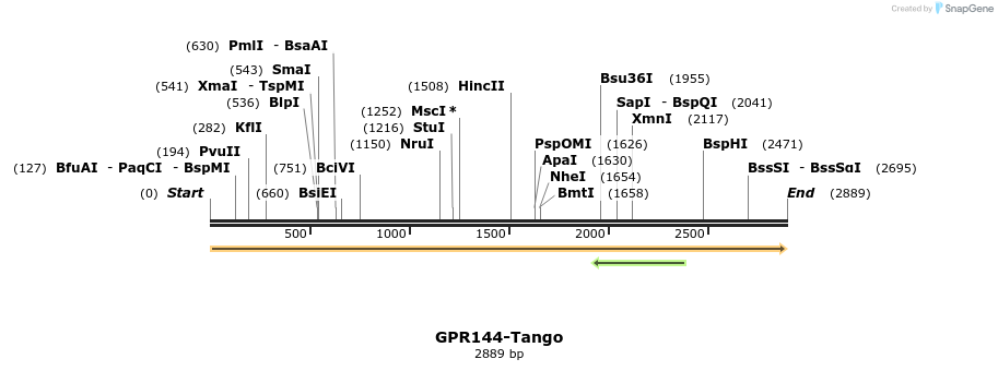 113256_map