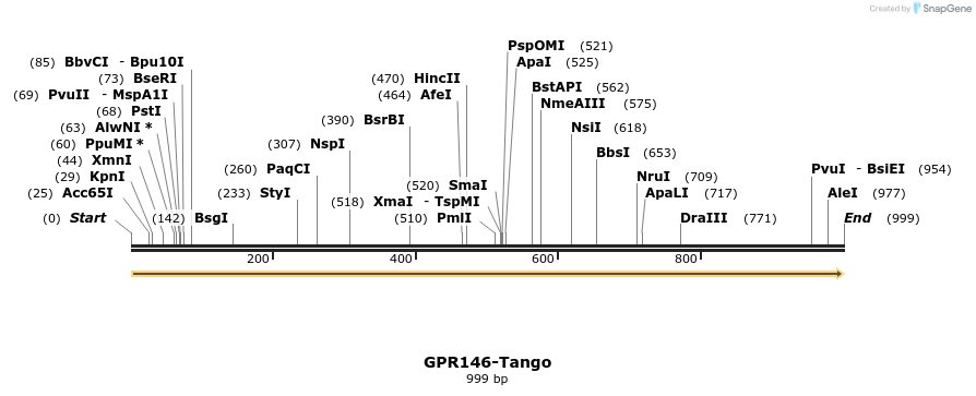 113258_map