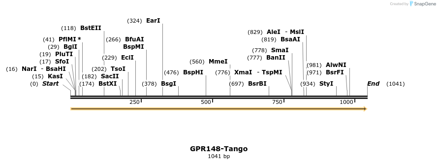 113260_map