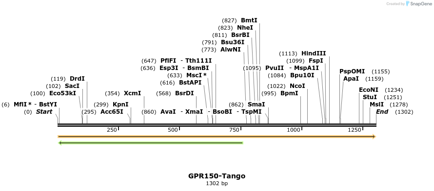 113266_map