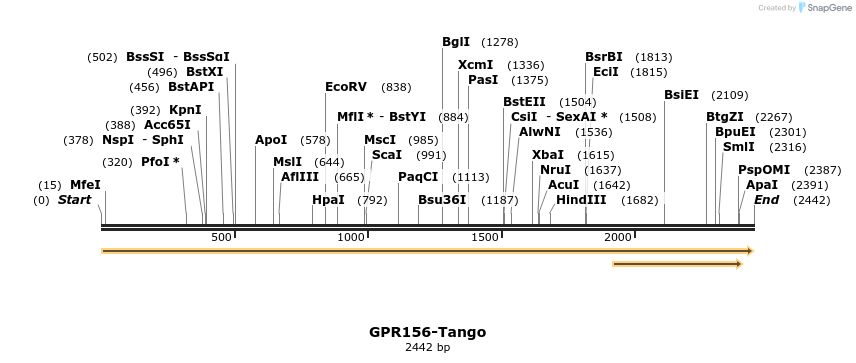 113274_map