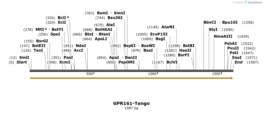 113282_map