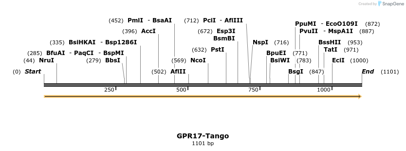 113286_map