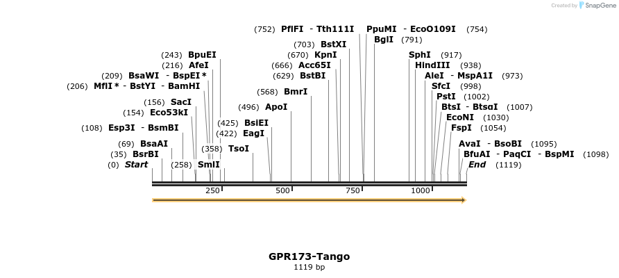 113290_map