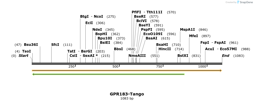 113298_map