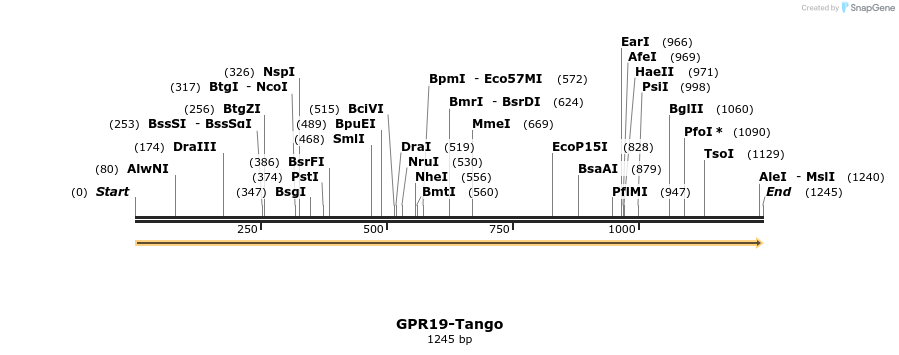 113300_map