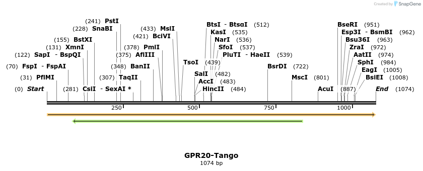 113302_map