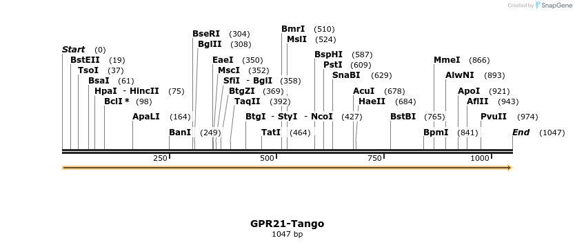 113304_map