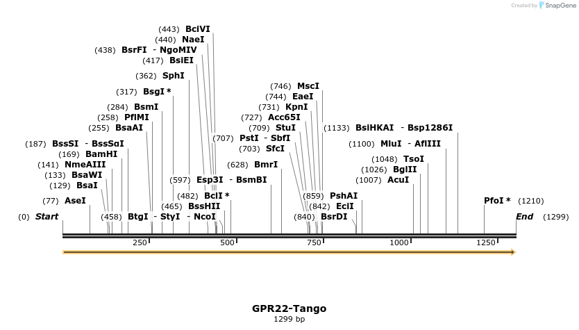 113306_map
