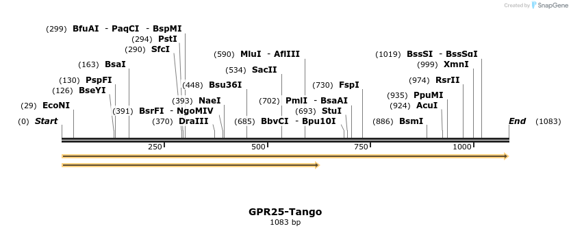 113308_map