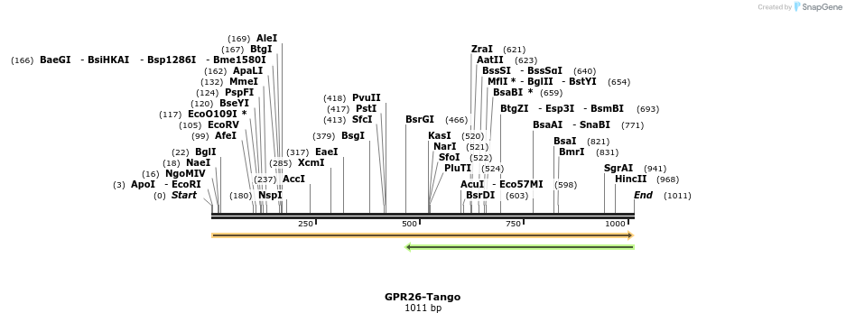 113310_map