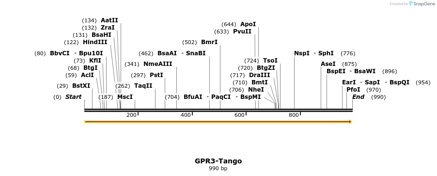 113314_map