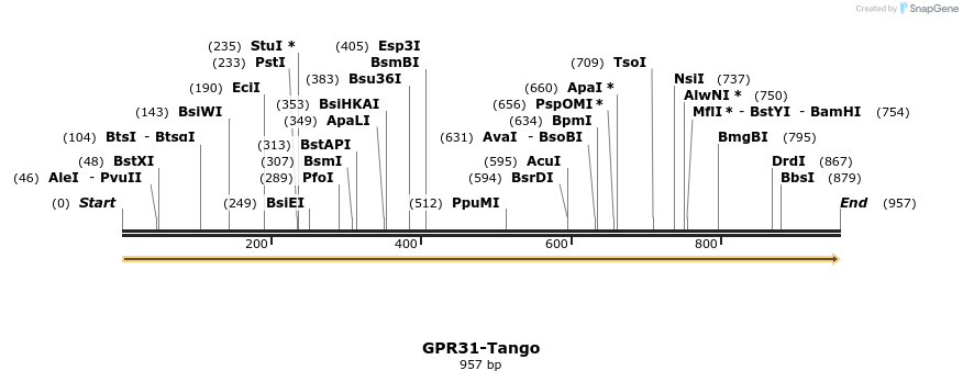 113316_map