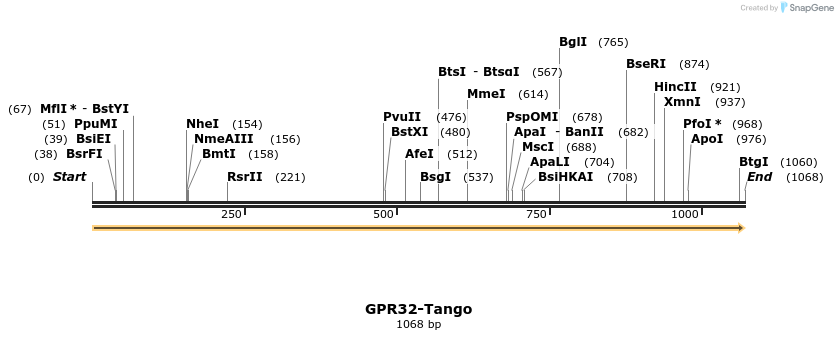 113318_map