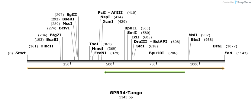 113320_map