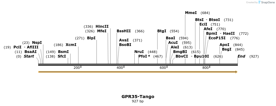 113322_map