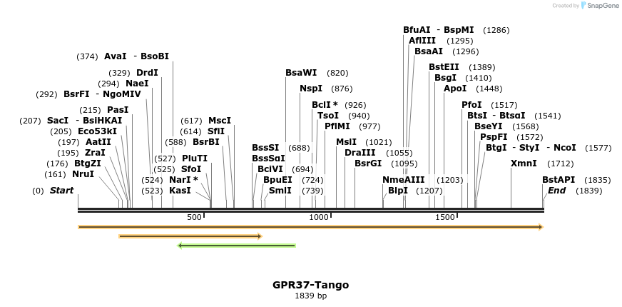 113324_map