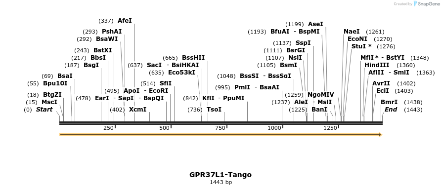 113326_map
