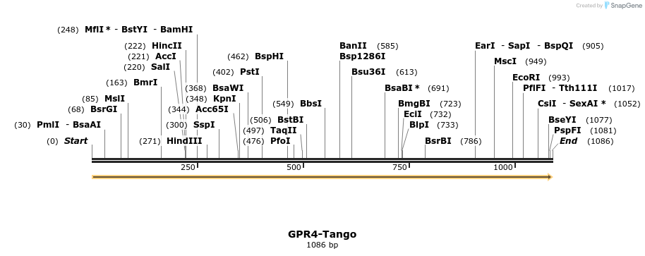 113330_map