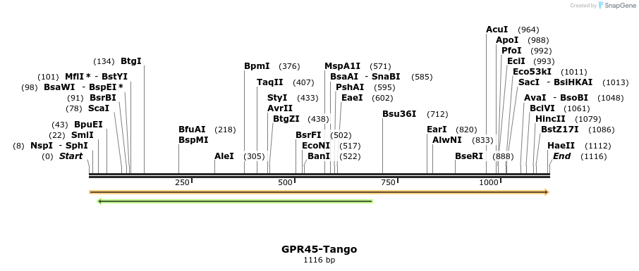 113334_map