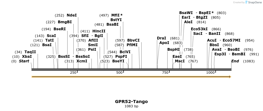113338_map