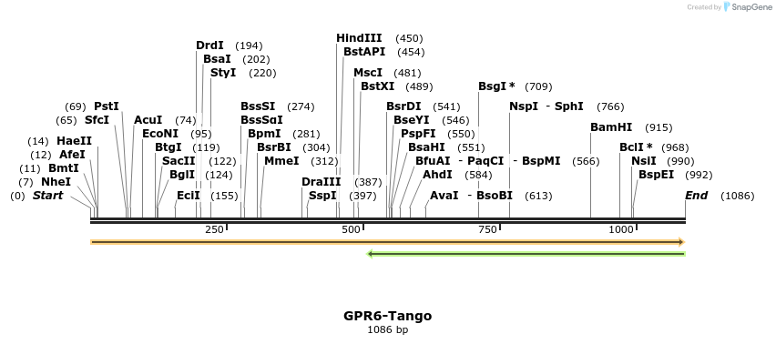 113344_map