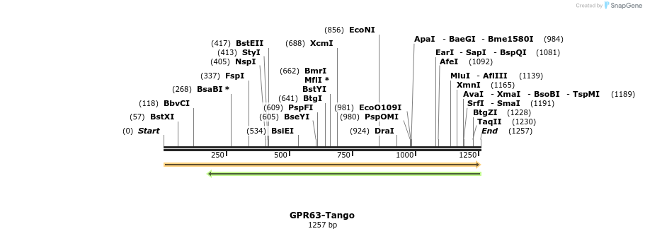 113350_map