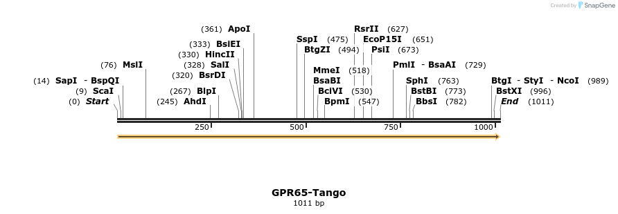 113354_map