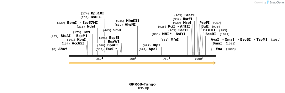 113356_map