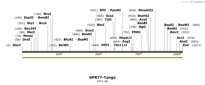113360_map