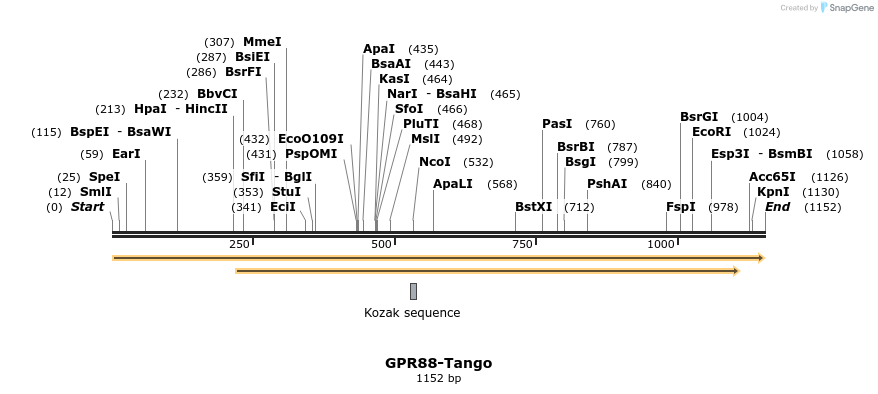 113374_map