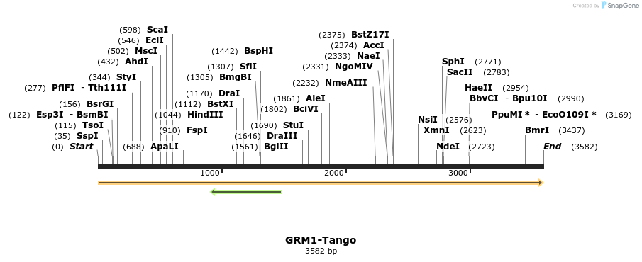113388_map