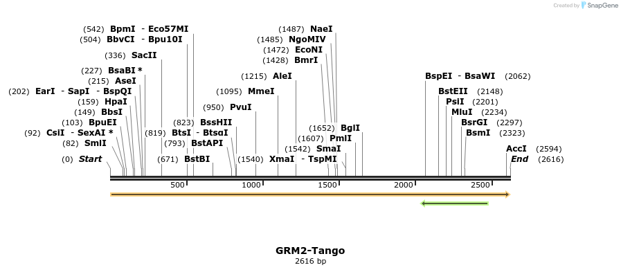113390_map