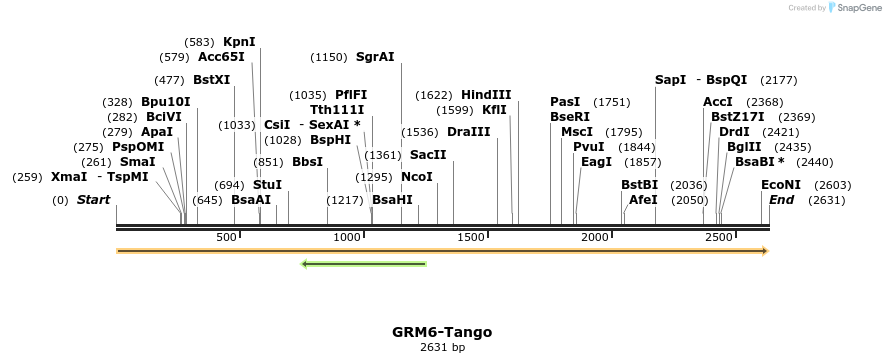 113396_map