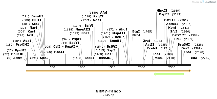 113398_map
