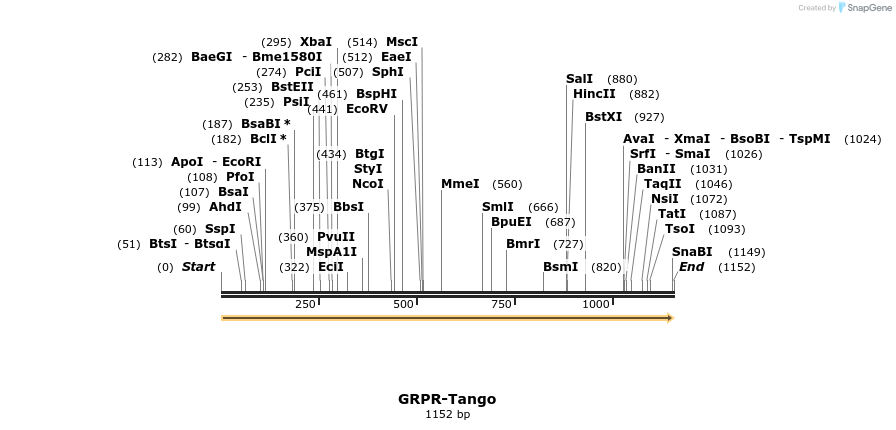 113402_map