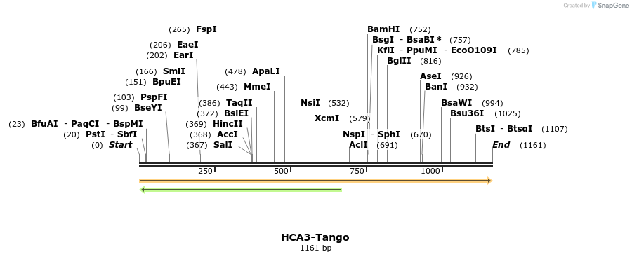 113408_map