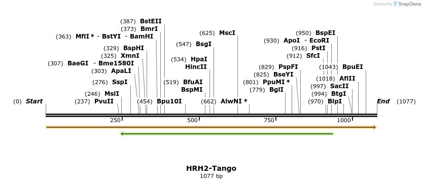 113416_map