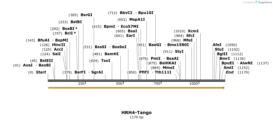 113420_map