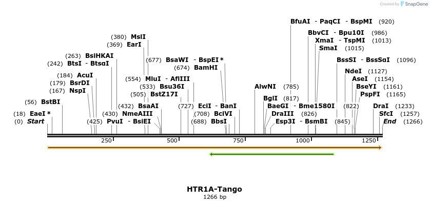 113422_map