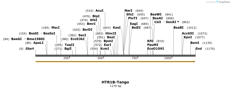 113424_map