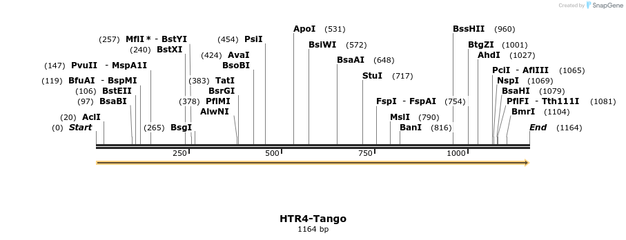 113438_map